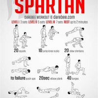 Spartan Warrior Circuit Training The 300 Workout Pdf